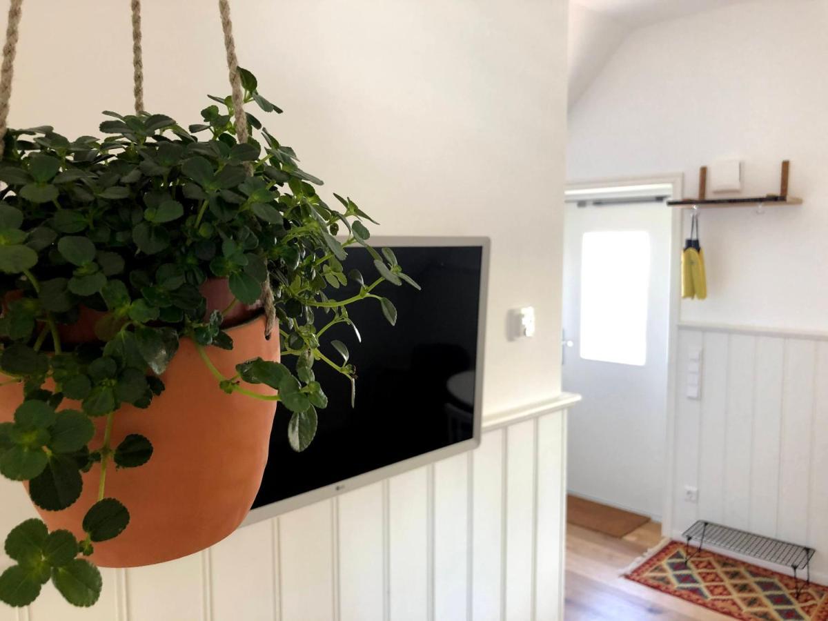 Uhldingen-Mühlhofen Ferienwohnung Kleiner Onkel מראה חיצוני תמונה